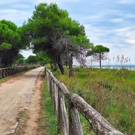 Functional With Balcony شقة *